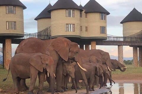 Safari de 2 dias em Taita Hills a partir de Nairobi