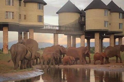 3-dages Tsavo East Tour og Saltlick Safari fra Nairobi