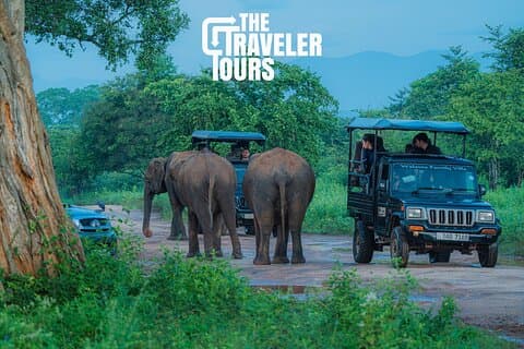 Udawalawe National Park Excursão Privada em Jeep