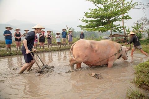 Living Land Experience and Kuang Si water with Lunch
