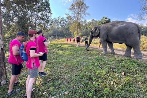 Chiang Mai Elefantklocka och Wang River Forsränning