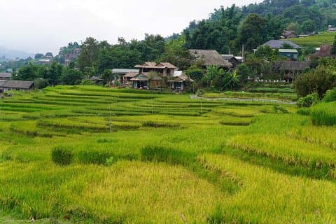 Excursión de un día a Y Linh Ho Lao Chai Ta Van Cat Village
