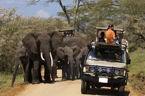 2 Días de Safari en el Parque Nacional Amboseli