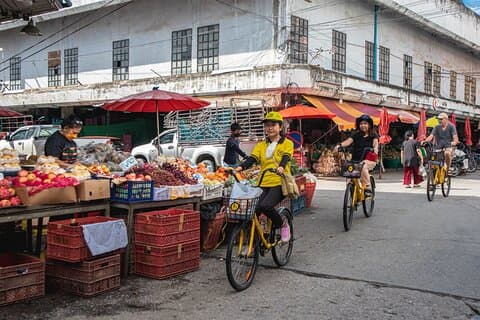 Tour panorámico en bicicleta y comida tailandesa del norte desde Chiang Mai