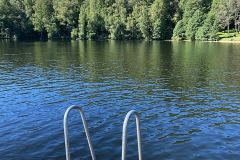 Private Half-Day Swedish Nature Experience