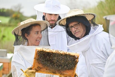 Bee Inspired: サンミゲルの旅と養蜂場訪問