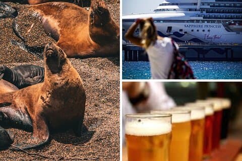 Shore Tour Punta Loma with craft beer tasting