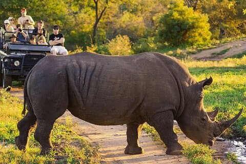 Kaapstad naar Vic Falls Explorer