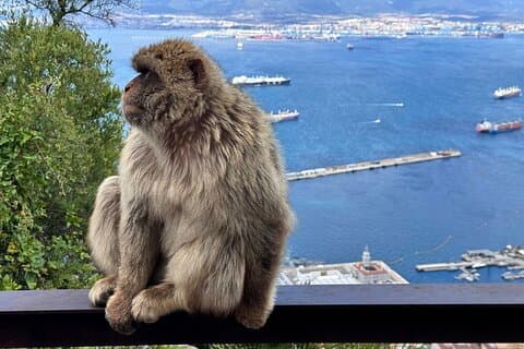 Excursion privée à Gibraltar au départ de Cadix