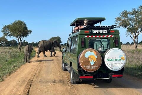 1 dag Safari naar Mikumi NP vanuit Dar es Salaam