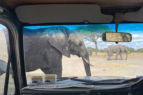 5-dages privat safari i det nordlige Tanzania med afgang fra Arusha