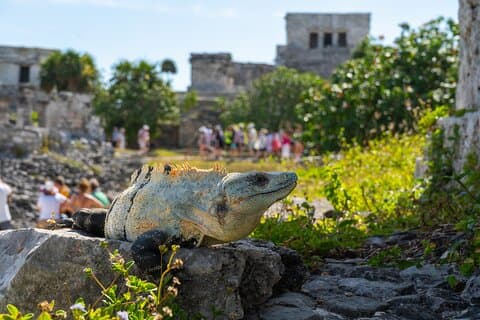 Ruínas de Tulum e Coba com uma experiência de Cenote