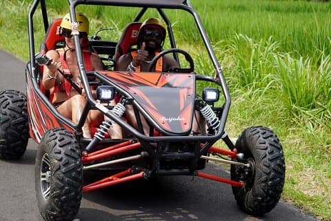 Ubud & Buggy Adventure Tour: Oplev Bali's naturlige skønhed