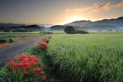 Private 2 Days Tour in Asuka Village Hidden Gems of Nara