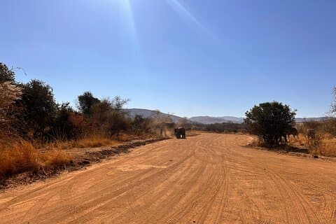 Ganztägige Safari im Pilanesberg Nationalpark