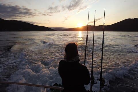 Skrei Angeln in der Barentssee ab Tromsø