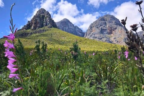 Stellenbosch Waterfall Hike - Banhoek Nature Conservancy