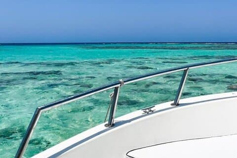 Discover the Secrets of the Sea on a Boat Trip to Bayada Island