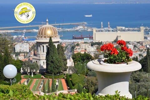 Haifa Höhepunkte Private Tour