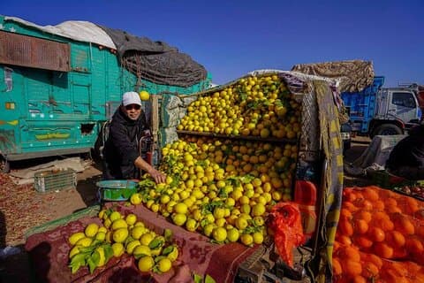 Upptäck traditionell veckomarknad i utkanten av Marrakech