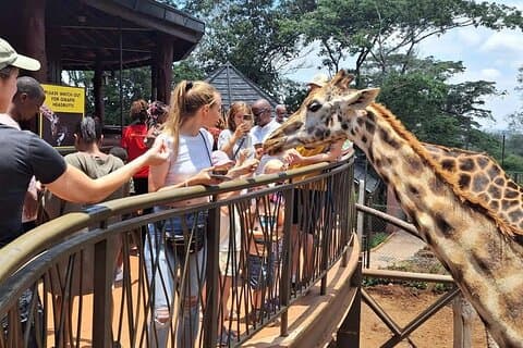 Giraffe Centre , Kobe Beads y Bomas Excursión de un día