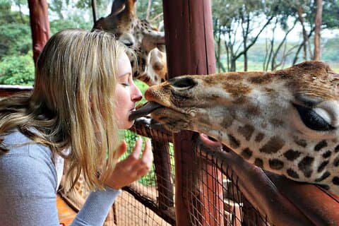 Kenya Safari 4WD Shared Tour Experience