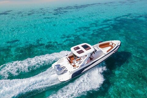 Dolphin Swim : Motoscafo privato di 4 ore (trasferimenti dall'hotel inclusi)