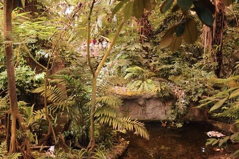 Skip-the-line Montreal Biodome privat tur med billetter