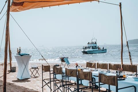 Mola Mola Marine Dolphin Cruise & Beach Braai on Pelican Point