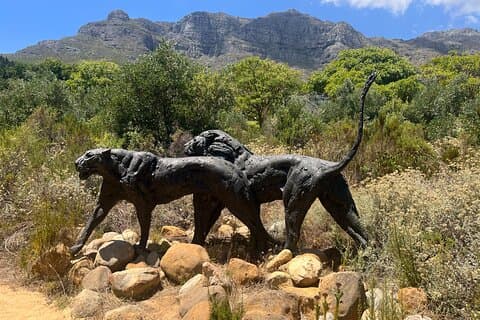 Tour privato Luxury Winelands fino a 9 persone