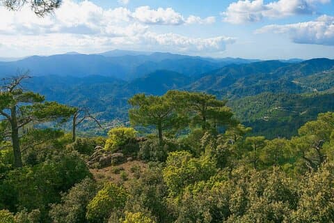 Visite panoramique des montagnes du Troodos avec dégustation de vin de Paphos