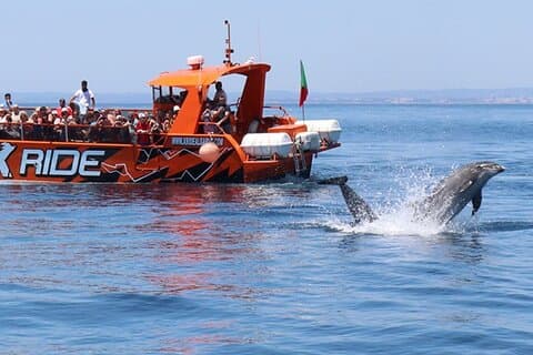 Hoteller i nærheden af Safari & Boat Tour - Mountains & Dolphins