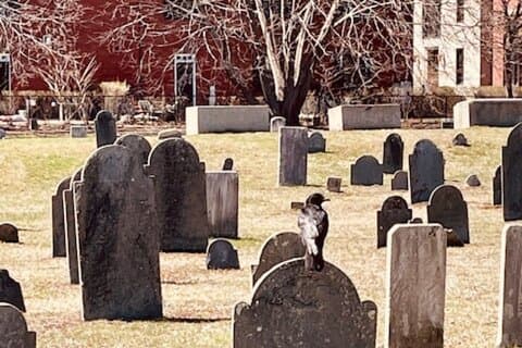 Anmeldelser av Ghostly Tales of Salem