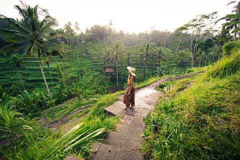 Private Ubud Tour with Monkey Forest and Waterfall