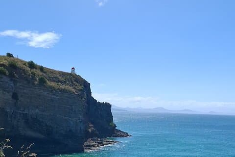 Private Dunedin & Otago Peninsula Touren Bis zu 4 Personen