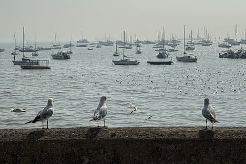 Mumbai: A Symphony of Seven Islands - Get Local in 1 Day