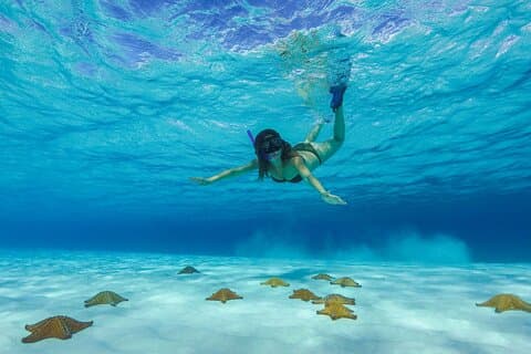 Cozumel Katamaran Schnorcheltour: El Cielo & Palancar mit Mittagessen