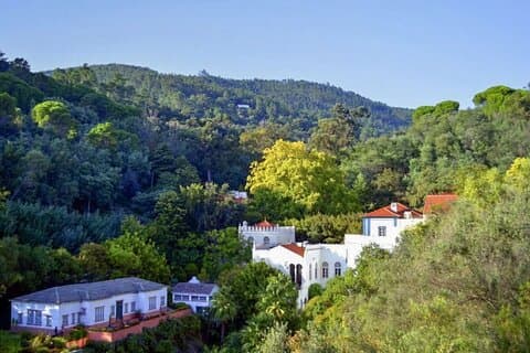 Monchique: Uma montanha que desafia os sentidos
