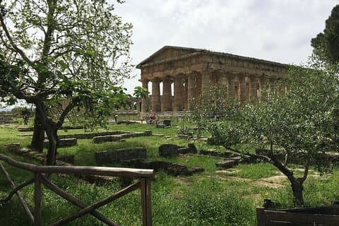 Private Tour Paestum und Mozzarella Farm mit Führer und Fahrer