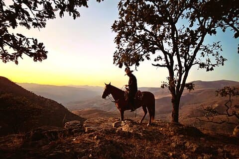 Horseback Riding Tour with Lunch included and Party in Cantaritos