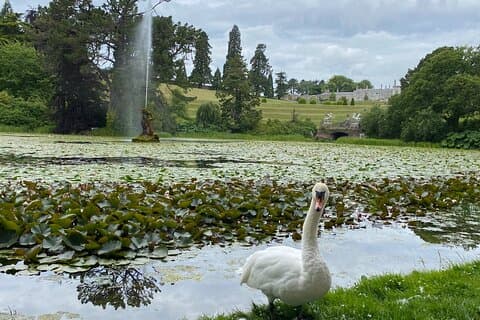 Wicklow Garden Tour: Irlands mest fantastiske haver og smag