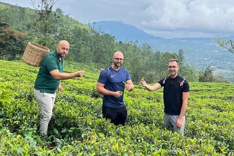 Nuwara Eliya Tea fabriek en waterval tour