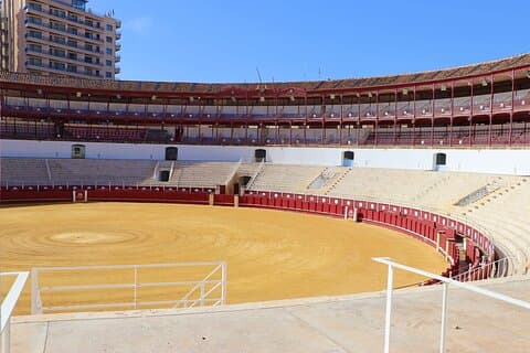 Tour of Malaga Bullring & Bullfighting Museum with Audioguide
