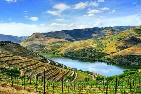 Porto to Douro Valley Private Transfer Up to 4 Stops