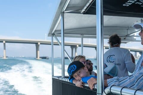 Dolphin Watching Intercoastal Cruise