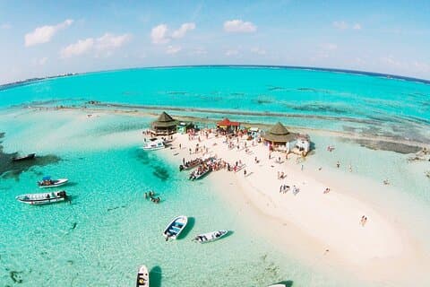 4 Tours in 1 : Aquarium, Haynes Cay, Watching and Mangroves