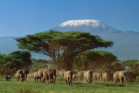 Safari de lujo de 5 días; Tsavo Este, Oeste y Amboseli desde Nairobi