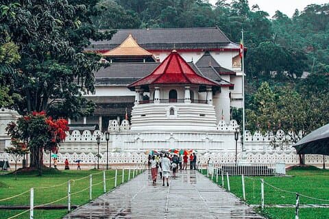 Kandy All Inclusive-dagstur från Colombo