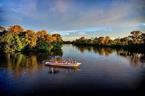 Klias Mangrove Wildlife and Fireflies