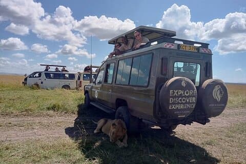 7 dias Masai Mara Lago Nakuru Samburu e Ol Pejeta Kenya Safari